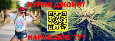 сатива Новокубанск