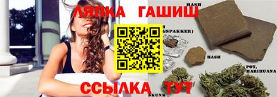 сатива Новокубанск