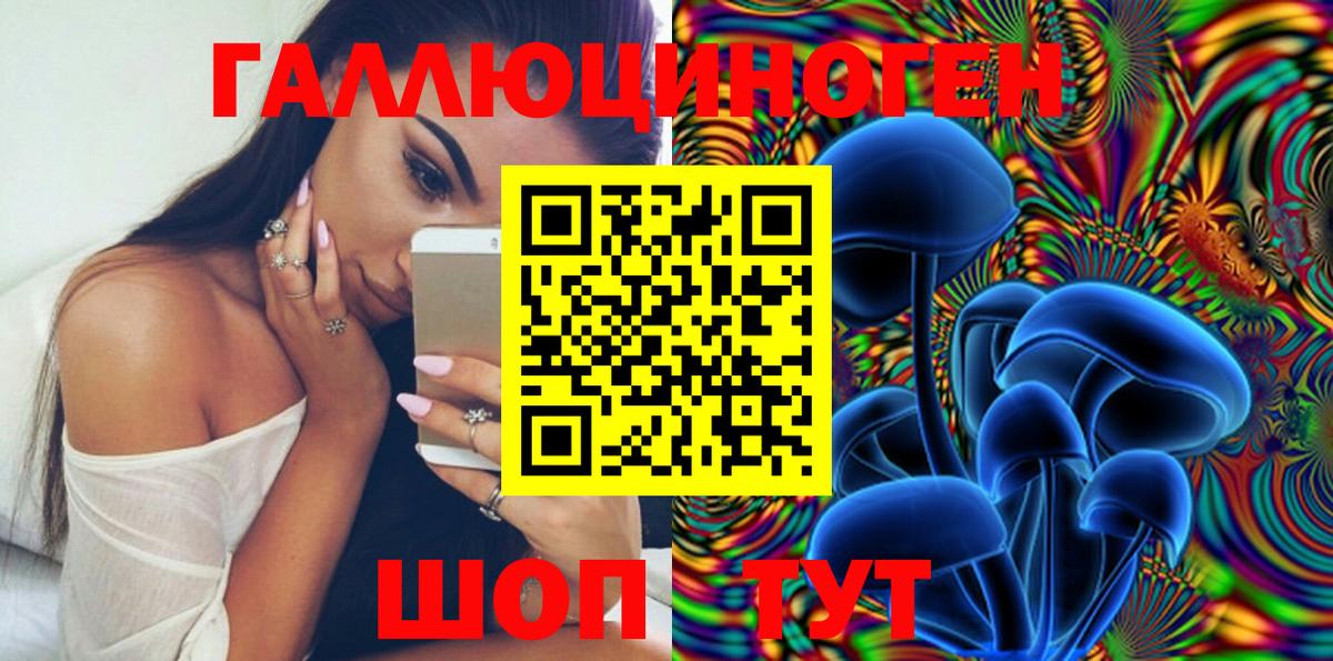Печора  Псилоцибиновые грибы Cubensis  Вход с VPN 